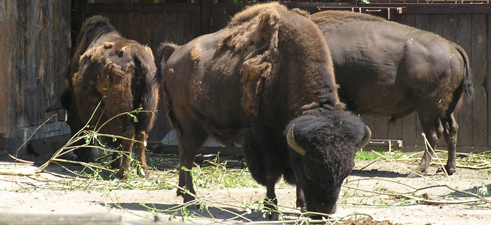手机号轰炸测试